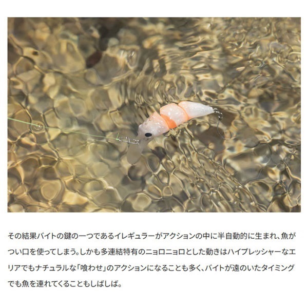CARDIFF  おおとろ 45F